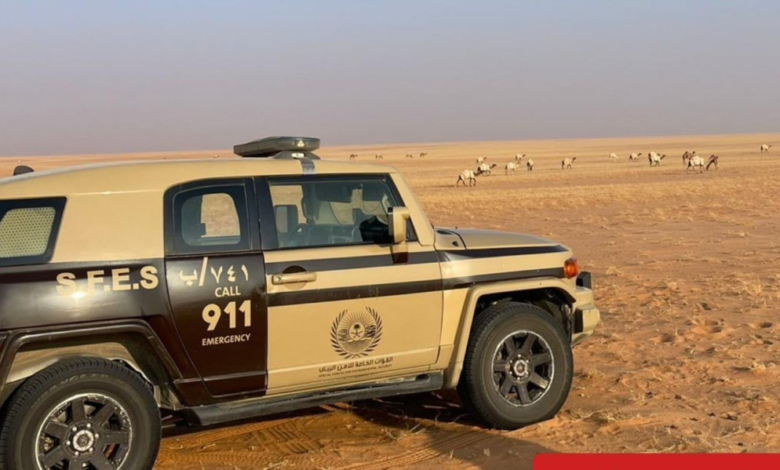 الأمن البيئي يضبط مخالفات رعي واحتطاب في الرياض والمدينة