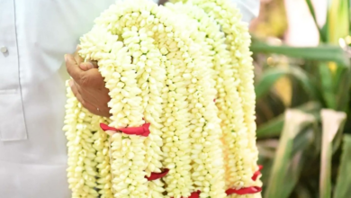 الأعشاب العطرية في جازان: تراث أصيل وزينة للرأس