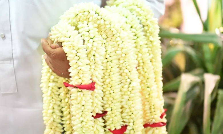 الأعشاب العطرية في جازان: تراث أصيل وزينة للرأس