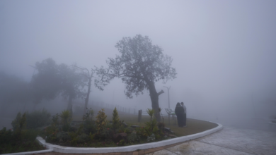 طقس المنطقة الشرقية: ضباب كثيف وتنبيهات من الأرصاد لعدة مدن