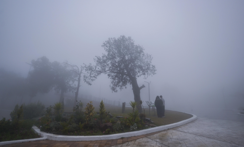 طقس المنطقة الشرقية: ضباب كثيف وتنبيهات من الأرصاد لعدة مدن