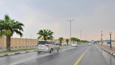 Today's weather forecast (Saturday): Extreme cold and fog in Saudi Arabia