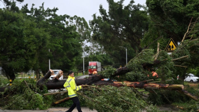 الصين تجدد الإنذار الأزرق لعواصف شديدة وتحذيرات للملاحة