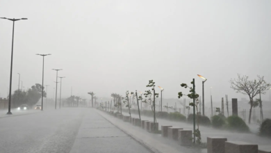 طقس السعودية اليوم: استمرار الموجة الباردة وتبوك الأبرد