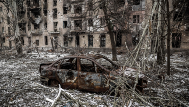 ضربات روسية تدمر آلاف الأطنان من زيت دوار الشمس في أوكرانيا