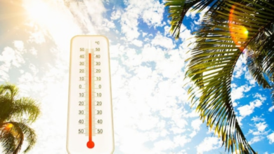 Today's weather in Saudi Arabia: Temperatures and weather phenomena