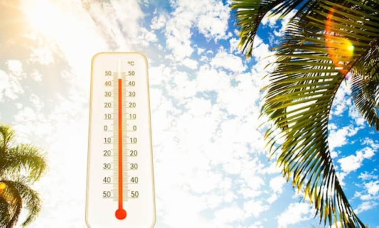 حالة الطقس في السعودية اليوم: درجات الحرارة والظواهر الجوية