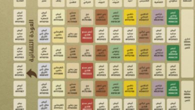 Unifying lighting codes in Al-Jawf region: New standards for visual identity