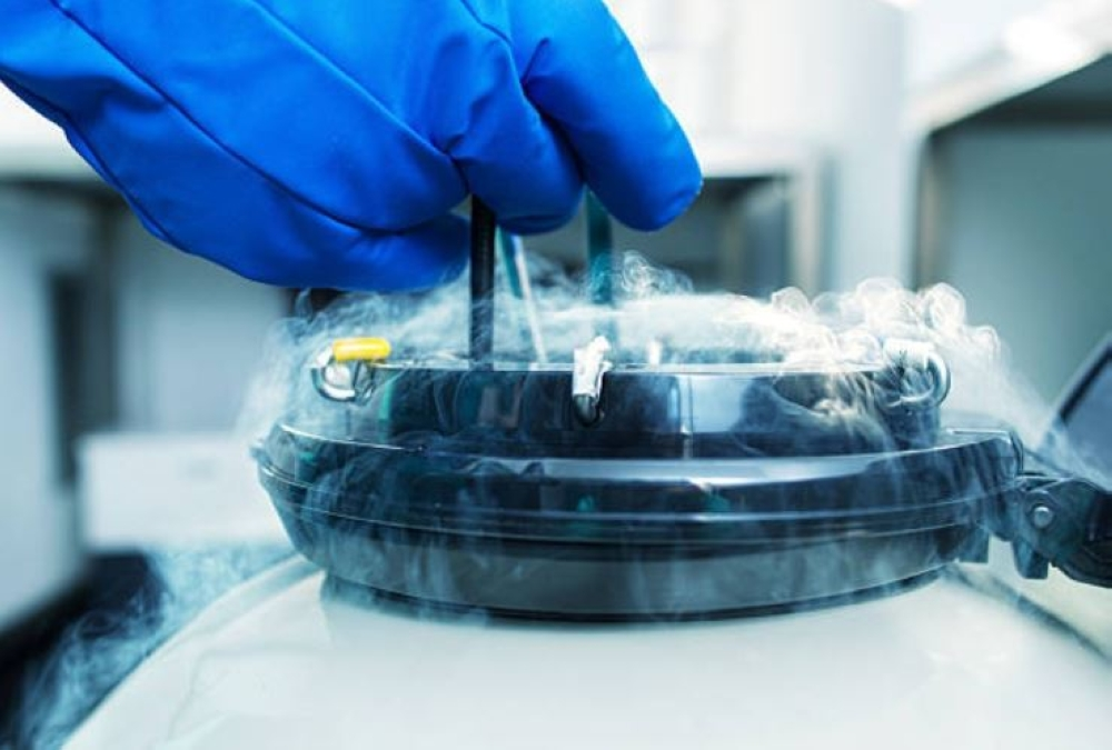 تجميد البويضات ومعدلات الإنجاب