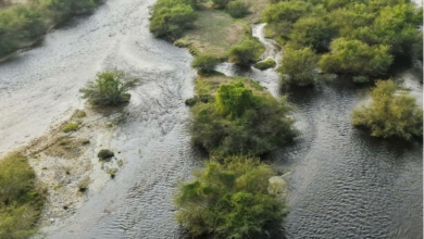 تجاويف العلا الصخرية: خزانات مياه طبيعية وتاريخ عريق