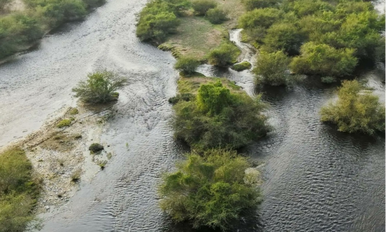 Al-Ula's rocky caves: natural water reservoirs and a rich history