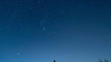 ذروة شهب الدبيات 2025: سماء الوطن العربي تودع العام بحدث فلكي