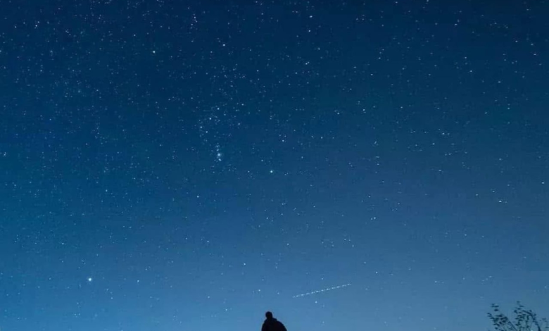 ذروة شهب الدبيات 2025: سماء الوطن العربي تودع العام بحدث فلكي