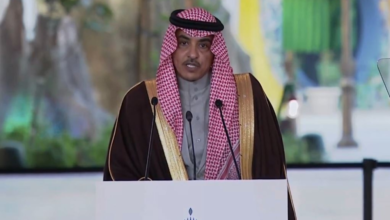 وزير الإعلام: اكتشاف 13 حقلًا للغاز والبترول وإنجازات 2025