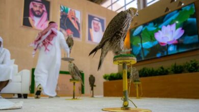 انطلاق مهرجان الملك عبدالعزيز للصقور 2025 بجوائز 38 مليون