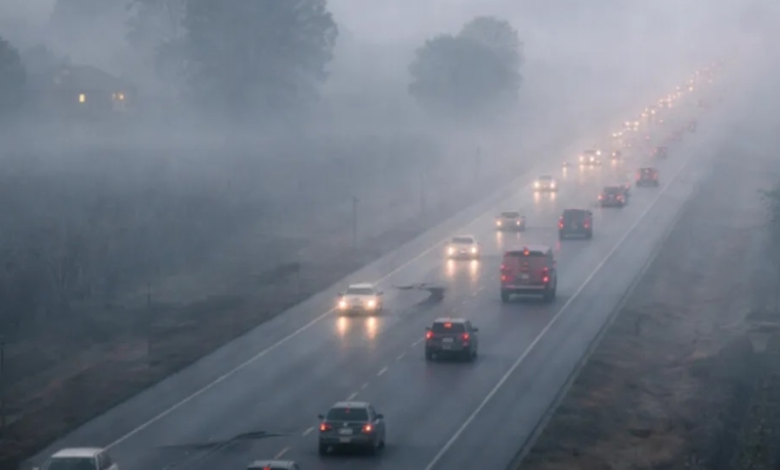Saudi Meteorology: Dense fog in 8 regions until 8 AM