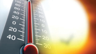Saudi Arabia's weather today: Sharp temperature contrast between Al-Qunfudhah and Tarif