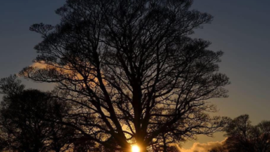 لماذا يتأخر الفجر بعد الانقلاب الشتوي؟ فلكية جدة توضح