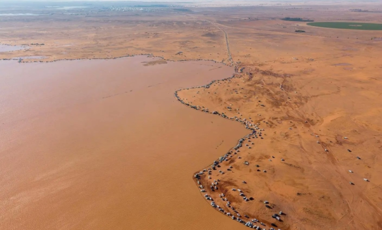 Rawdat Muhanna in Al-Qassim: A natural lake and a rich history after the rains