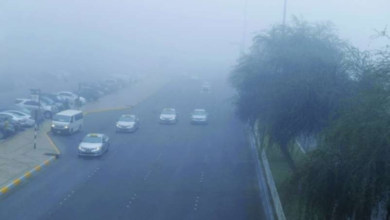 الأرصاد تحذر: ضباب كثيف وتدني الرؤية على 7 مناطق بالسعودية