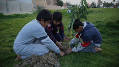 إطلاق منصة التشجير الرقمية لتوحيد جهود السعودية الخضراء