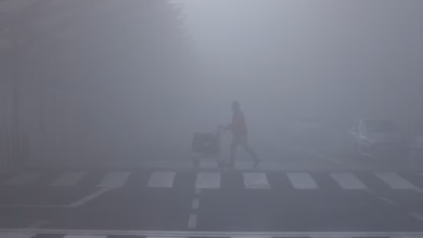 طقس السعودية اليوم: ضباب كثيف وإنذار أحمر بالرياض والشرقية
