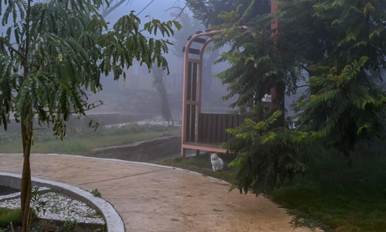 حالة الطقس اليوم: ضباب كثيف يغطي 9 مناطق سعودية وتنبيهات هامة