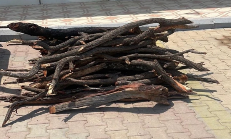 ضبط بيع حطب محلي في حائل: جهود أمنية لحماية الغطاء النباتي