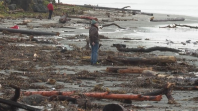 California floods: Pineapple train storm hits Los Angeles
