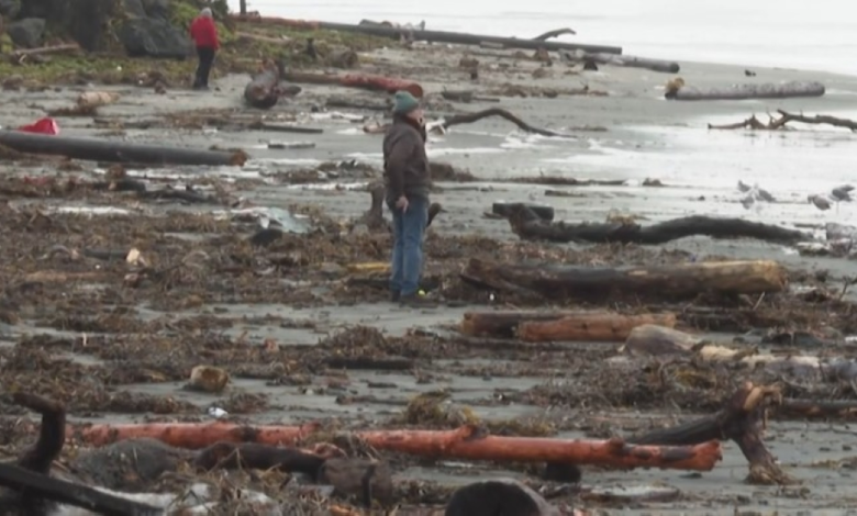 فيضانات كاليفورنيا: عاصفة قطار الأناناس تضرب لوس أنجلوس