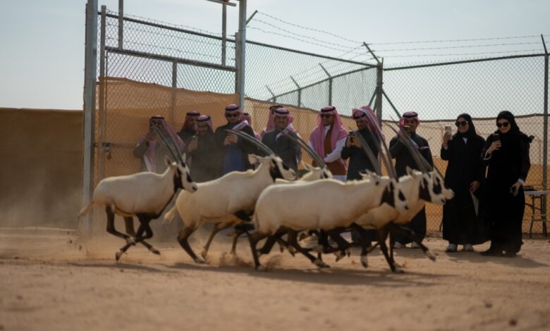 إطلاق 61 كائناً فطرياً في محمية الملك خالد لتعزيز التنوع الأحيائي