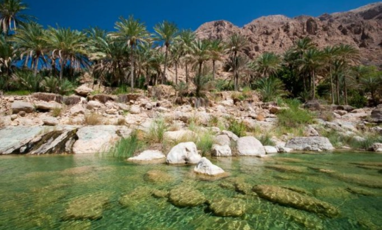 The Ministry of Culture concludes the documentation of intangible cultural heritage in Al-Ahsa