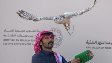 انطلاق مهرجان الملك عبدالعزيز للصقور 2025 بجوائز 38 مليون