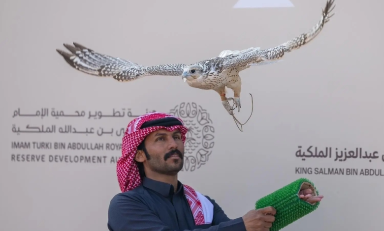 King Abdulaziz Falconry Festival 2025 kicks off with prizes totaling 38 million
