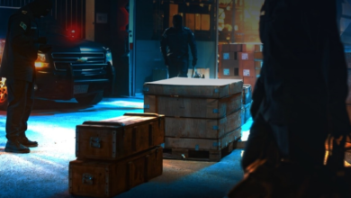 زاتكا تضبط 961 حالة تهريب ومخدرات وأسلحة خلال أسبوع