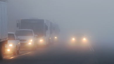 الأرصاد تحذر: ضباب كثيف على القنفذة والليث وأمطار بالمملكة