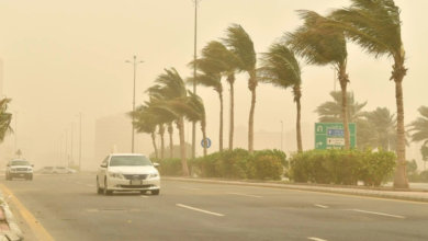 Saudi Arabia's weather forecast for next week: Active winds and scattered rain