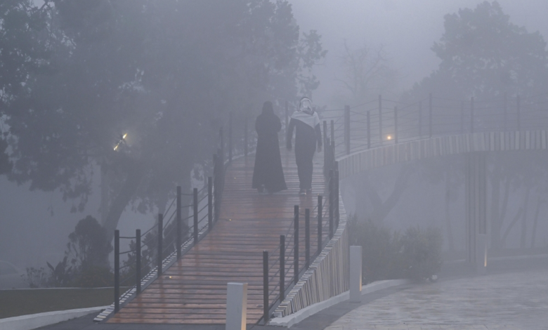 Saudi Arabia weather today: Rain, dust, fog, and weather alerts
