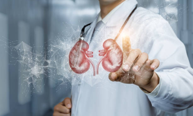 Kidney dialysis centers in Saudi Arabia 2024: Comprehensive figures and facts