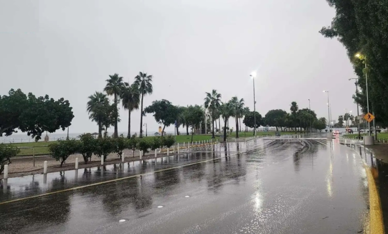 Saudi Arabia weather today: Sakaka records 3 degrees and dust warnings issued