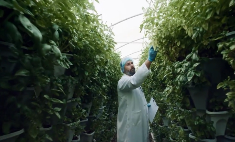 Your local guarantee: A national campaign to support Saudi GAP certification and food safety