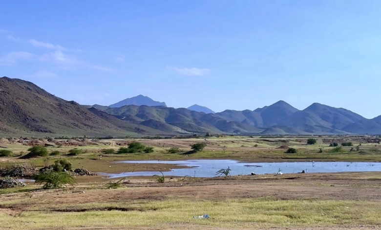 شمال مكة يكتسي بالخضار.. مشاهد ساحرة عقب الأمطار