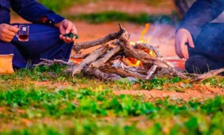 Environmental violations detected in Riyadh: grazing and fires in nature reserves