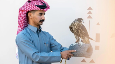 نتائج اليوم السادس لمهرجان الملك عبدالعزيز للصقور 2025