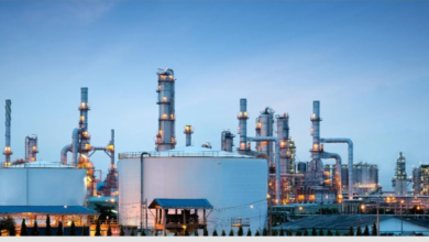 وزارة الاستثمار: دليل جديد لضبط المخالفات وحظر الهدايا