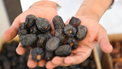 السعودية: تعزيز الصناعات التحويلية الزراعية للأمن الغذائي