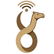 صورة ناقة نيوز