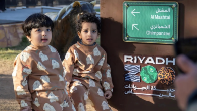 رياض زوو موسم الرياض 2025: دليل الوجهة العائلية الأبرز