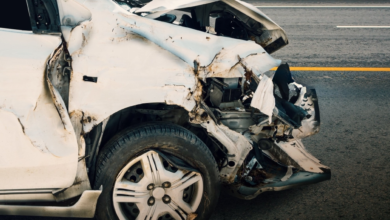 غرامة 50 ألف ريال لقطع سياج الطرق وحوادث الحيوانات السائبة