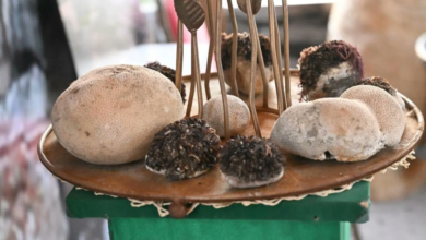 مهرجان جازان 2026: دليل الفعاليات الشتوية وأبرز العروض